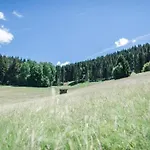 Geraeumige In Dachsberg-urberg *