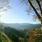 Geraeumige In Dachsberg-urberg Апартаменты