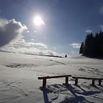 Апартаменты Geraeumige In Dachsberg-urberg *