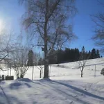 Апартаменты Geraeumige In Dachsberg-urberg *