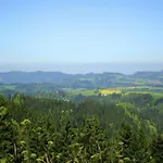Geraeumige In Dachsberg-urberg Апартаменты