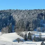 Апартаменты Geraeumige In Dachsberg-urberg Urberg