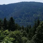 Geraeumige In Dachsberg-urberg Апартаменты *