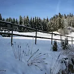 Апартаменты Geraeumige In Dachsberg-urberg *