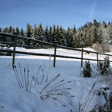 アパート Komfortable Im Schwarzwald *