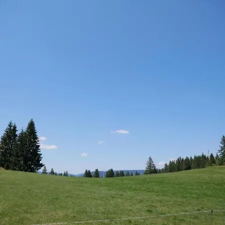 Апартаменты Geraeumige In Dachsberg-urberg