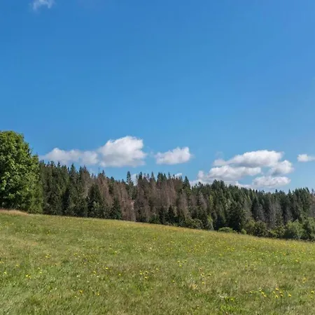 Апартаменты Geraeumige In Dachsberg-urberg