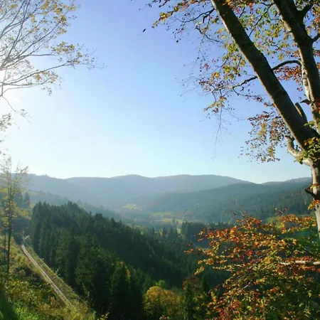 Geraeumige In Dachsberg-urberg Appartement