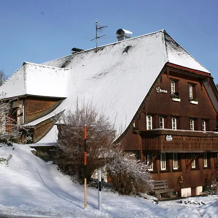 Geraeumige In Dachsberg-urberg Апартаменты Urberg
