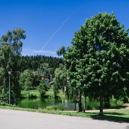 Geraeumige In Dachsberg-urberg Urberg