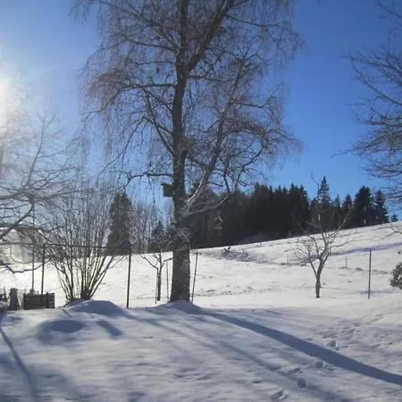 Apartmán In Dachsberg-urberg *