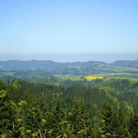 Geraeumige In Dachsberg-urberg Appartement