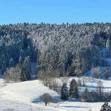 Appartement Geraeumige In Dachsberg-urberg Urberg