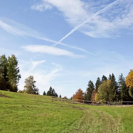 Geraeumige In Dachsberg-urberg Urberg