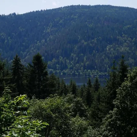 In Dachsberg-urberg Apartmán *