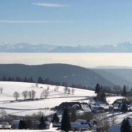 Geraeumige In Dachsberg-urberg Апартаменты Urberg