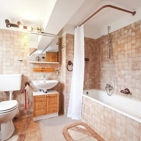 Appartement Geraeumige In Dachsberg-urberg Urberg
