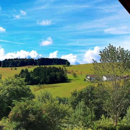Geraeumige In Dachsberg-urberg *