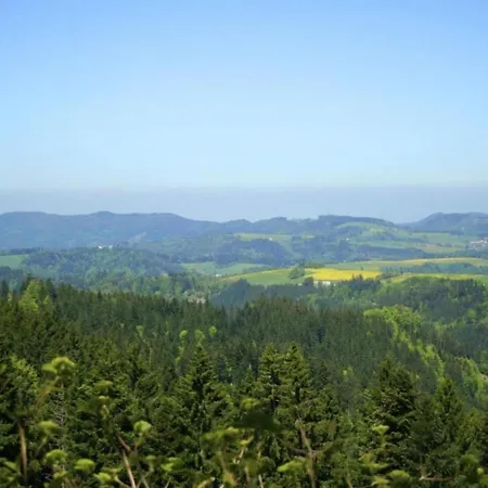 Geraeumige In Dachsberg-urberg