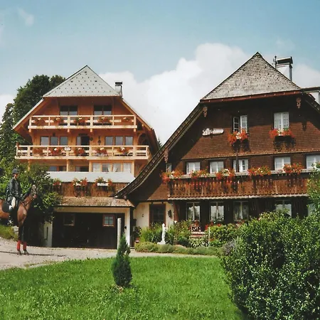 Апартаменты Geraeumige In Dachsberg-urberg