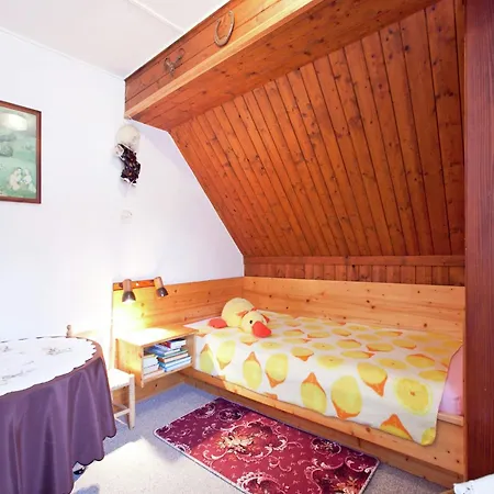 Geraeumige In Dachsberg-urberg Appartement *