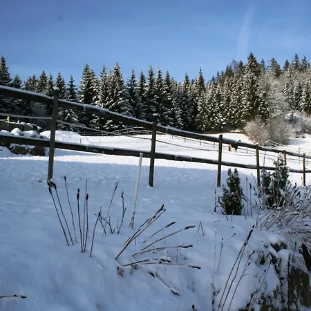 Apartmán In Dachsberg-urberg *