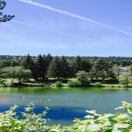In Dachsberg-urberg Apartmán Urberg