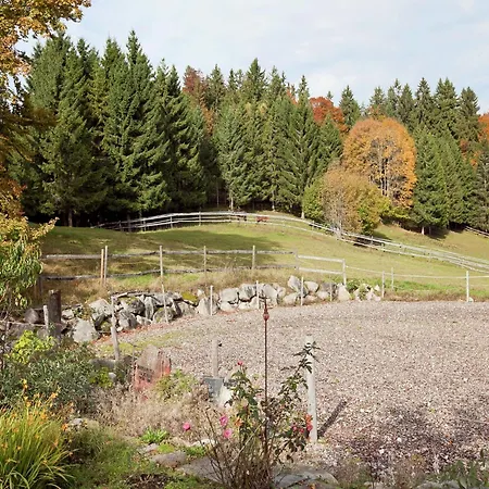 Апартаменты Geraeumige In Dachsberg-urberg Urberg