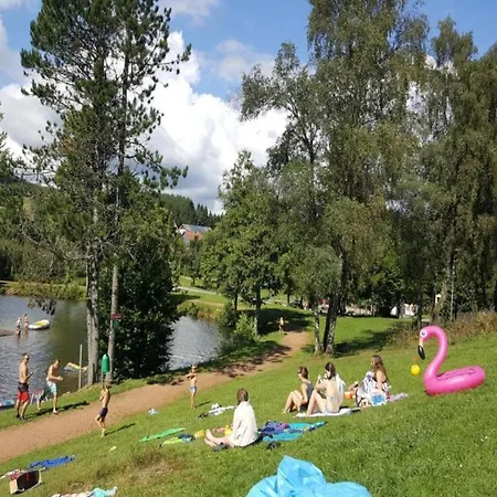Geraeumige In Dachsberg-urberg
