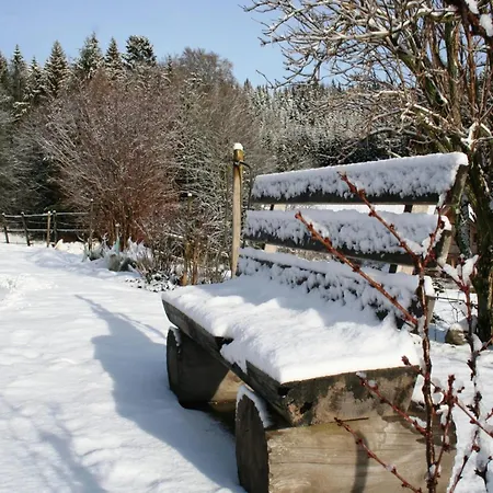 Geraeumige In Dachsberg-urberg Appartement *