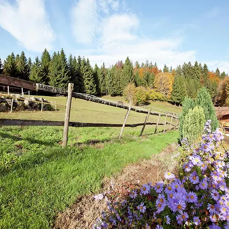 Geraeumige In Dachsberg-urberg Appartement