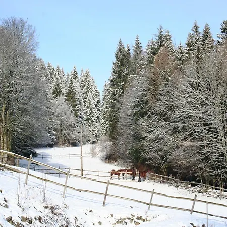 Appartement Geraeumige In Dachsberg-urberg
