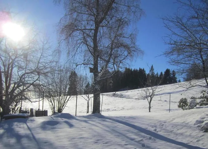 Apartamento In Dachsberg-urberg *