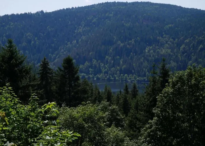 In Dachsberg-urberg Apartamento *