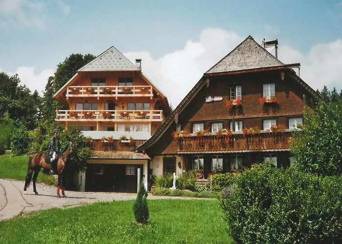 Apartamento In Dachsberg-urberg